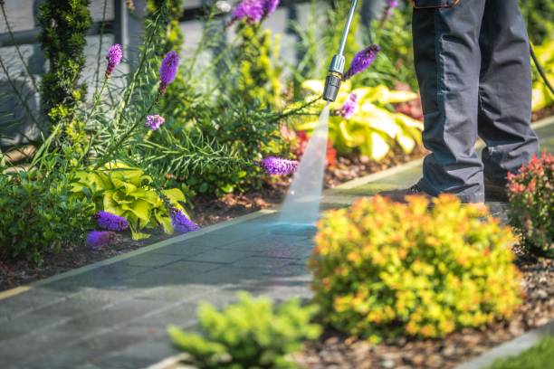 Professional Pressure Washing Services in Vassar, MI