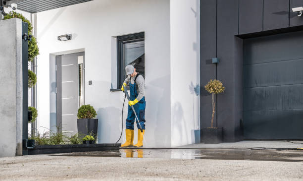 Best Animal Enclosure Cleaning  in Vassar, MI